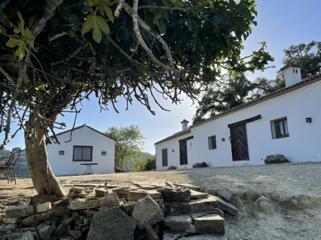 Finca - Cortijo Castellar de la Frontera Cádiz - image 27