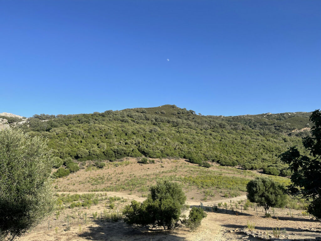 Finca - Cortijo Castellar de la Frontera Cádiz - image 29