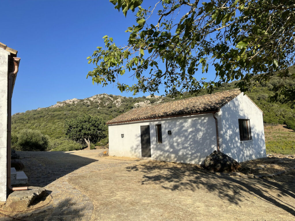 Finca - Cortijo Castellar de la Frontera Cádiz - image 32