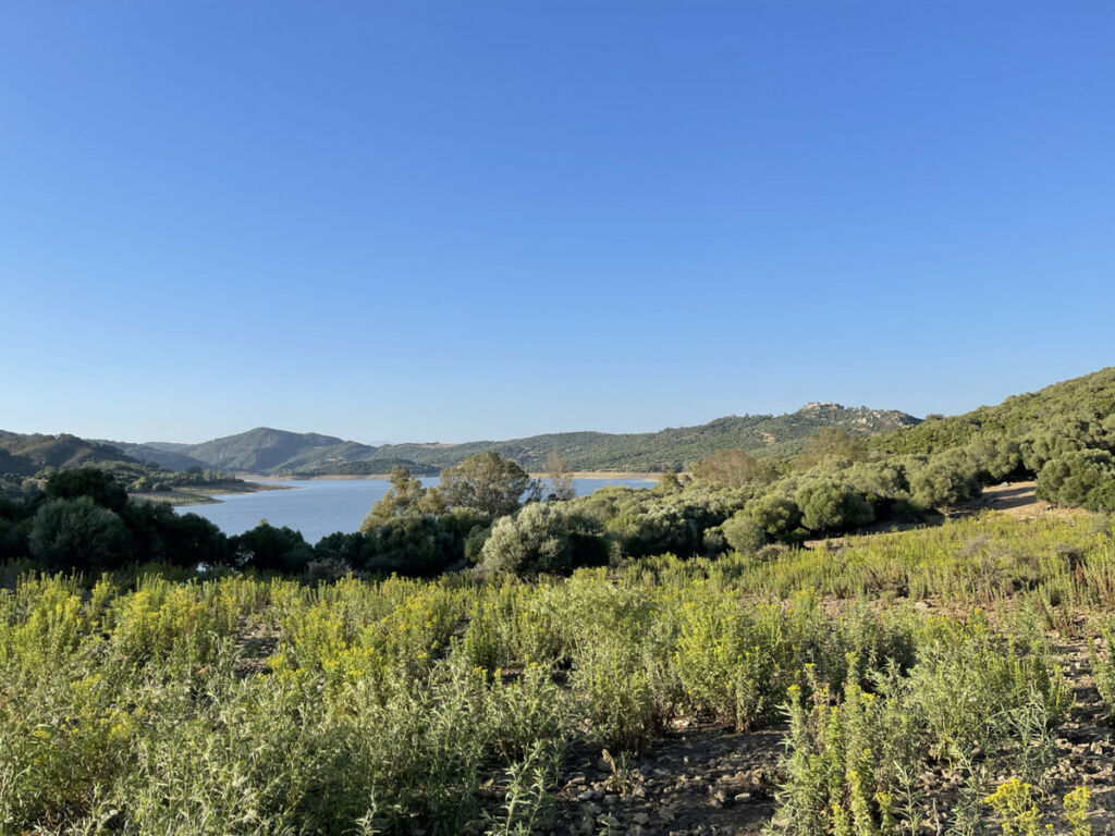 Finca - Cortijo Castellar de la Frontera Cádiz - image 41