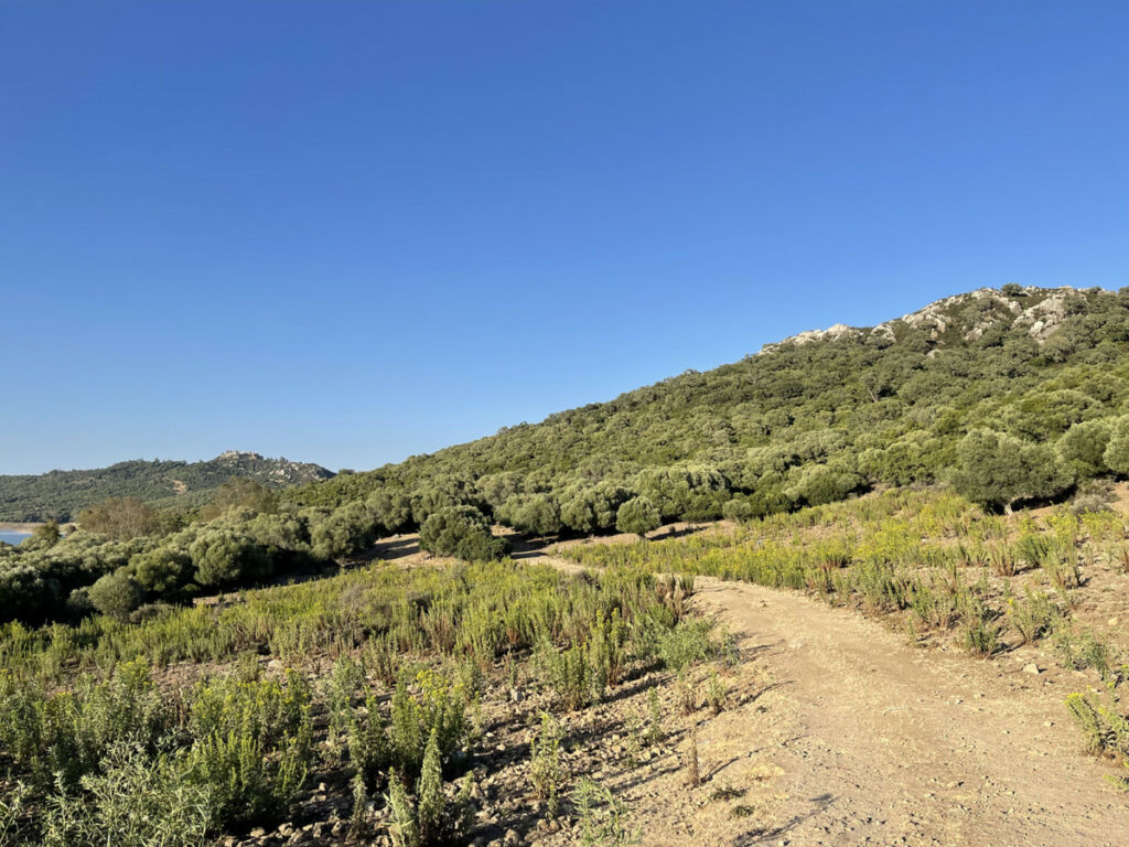 Finca - Cortijo Castellar de la Frontera Cádiz - image 42