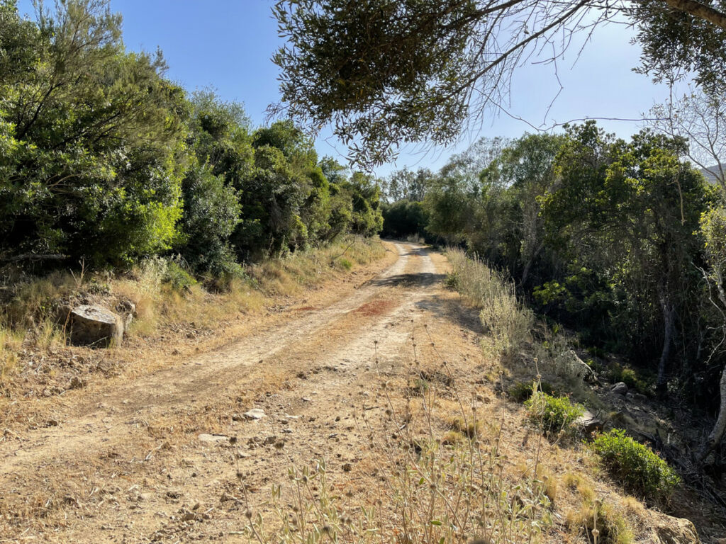 Finca - Cortijo Castellar de la Frontera Cádiz - image 5