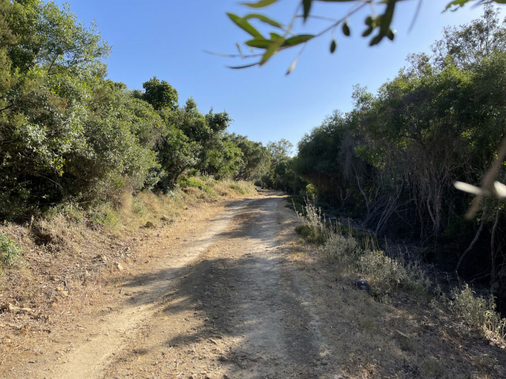 Finca - Cortijo Castellar de la Frontera Cádiz - image 6