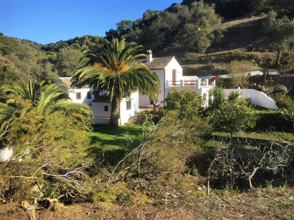 Finca - Cortijo Casares Málaga