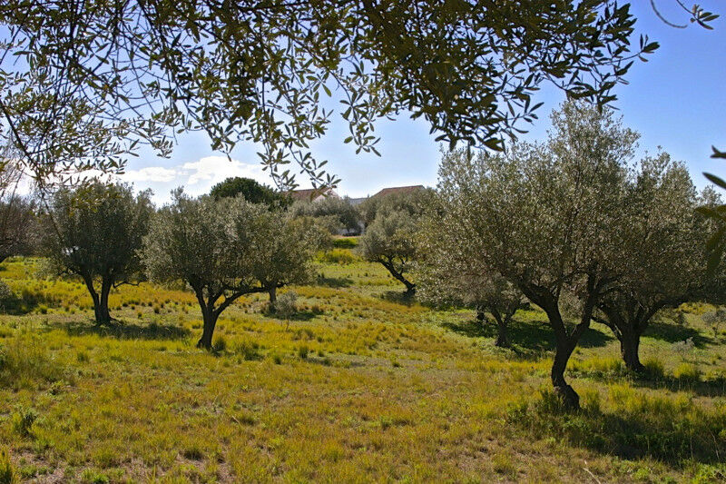 Detached Villa Elviria Málaga - image 10