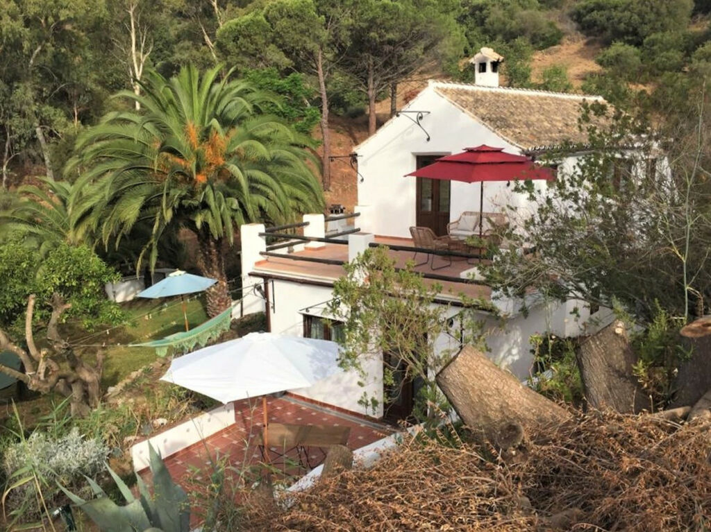 Finca - Cortijo Casares Málaga - image 2