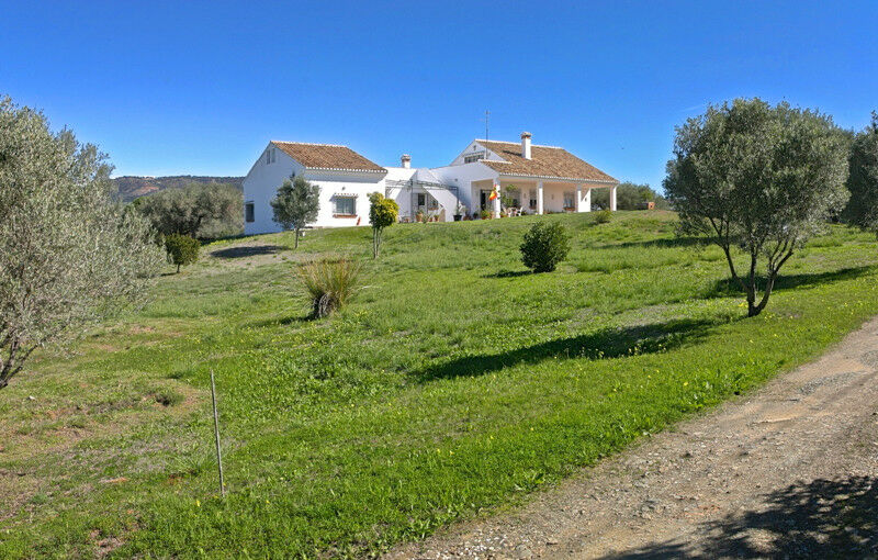 Detached Villa Elviria Málaga - image 2