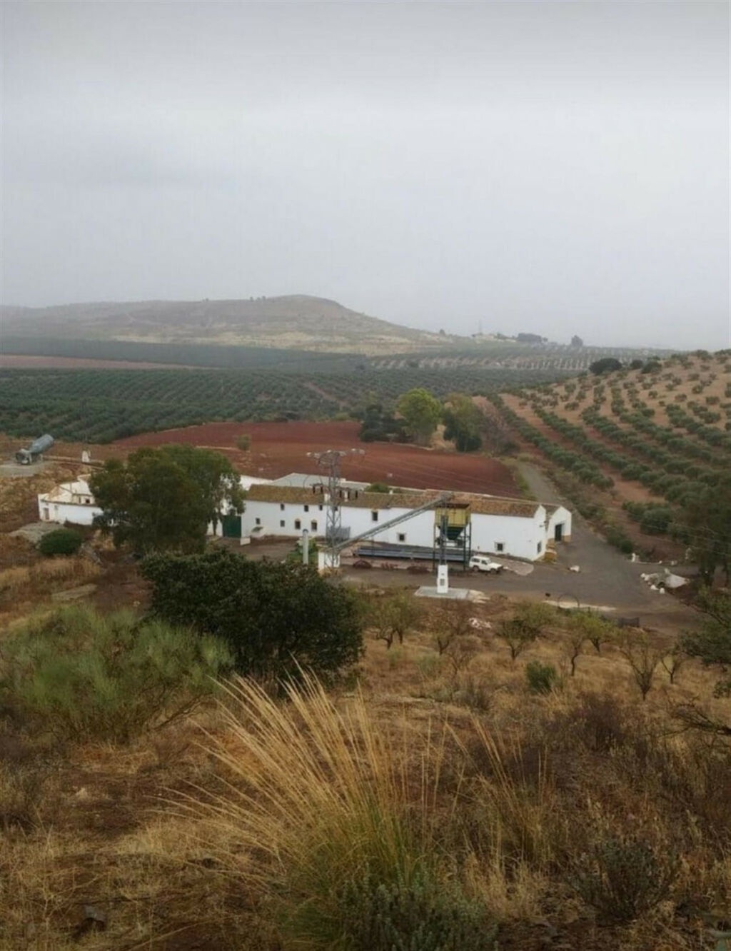 Finca - Cortijo Antequera Málaga - image 2