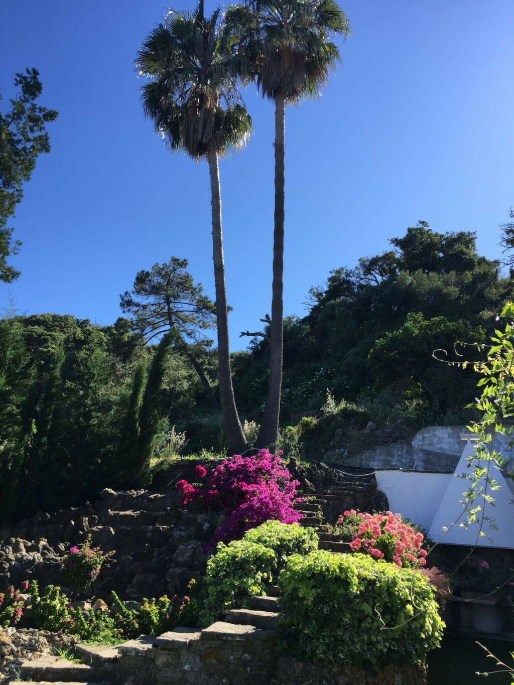 Finca - Cortijo Algeciras Cádiz - image 2