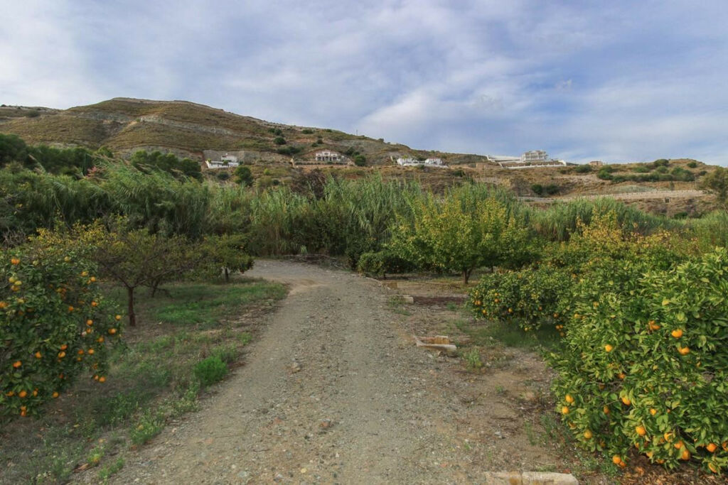 Land Coín Málaga - image 27