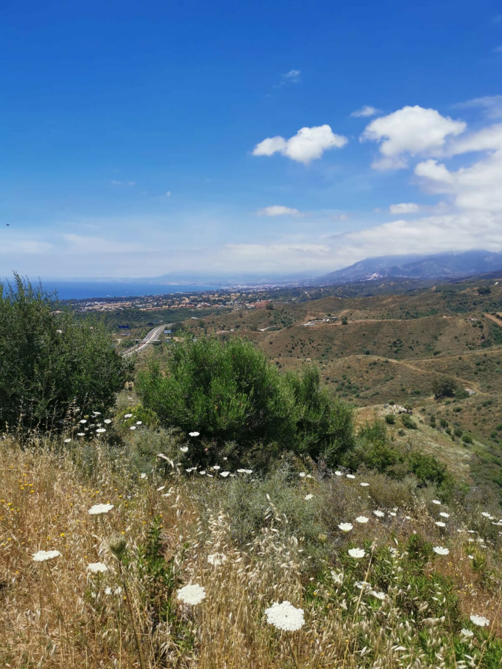 Land Marbella Málaga - image 3