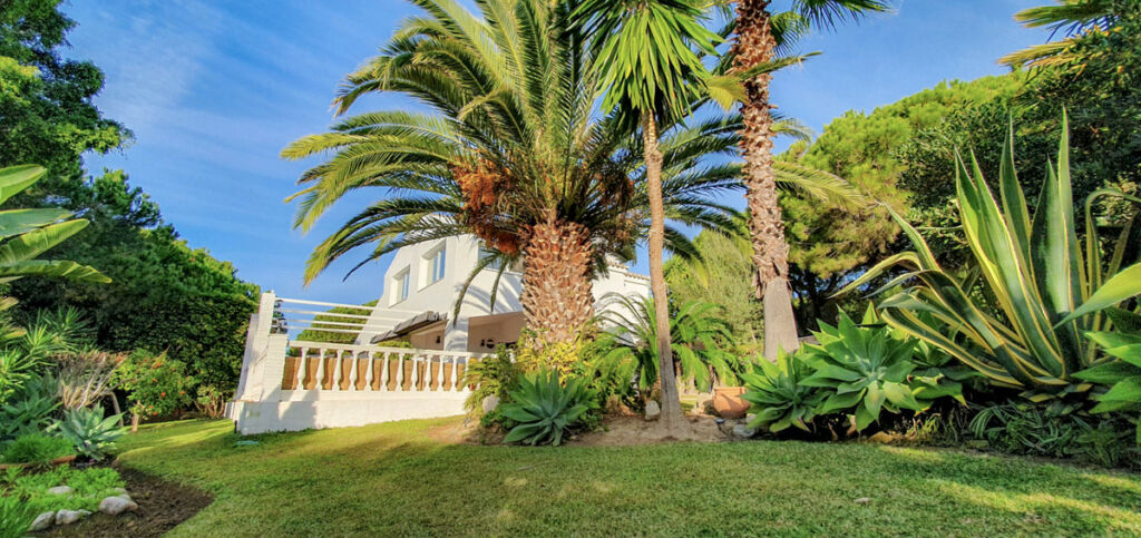 Detached Villa Calahonda Málaga - image 30