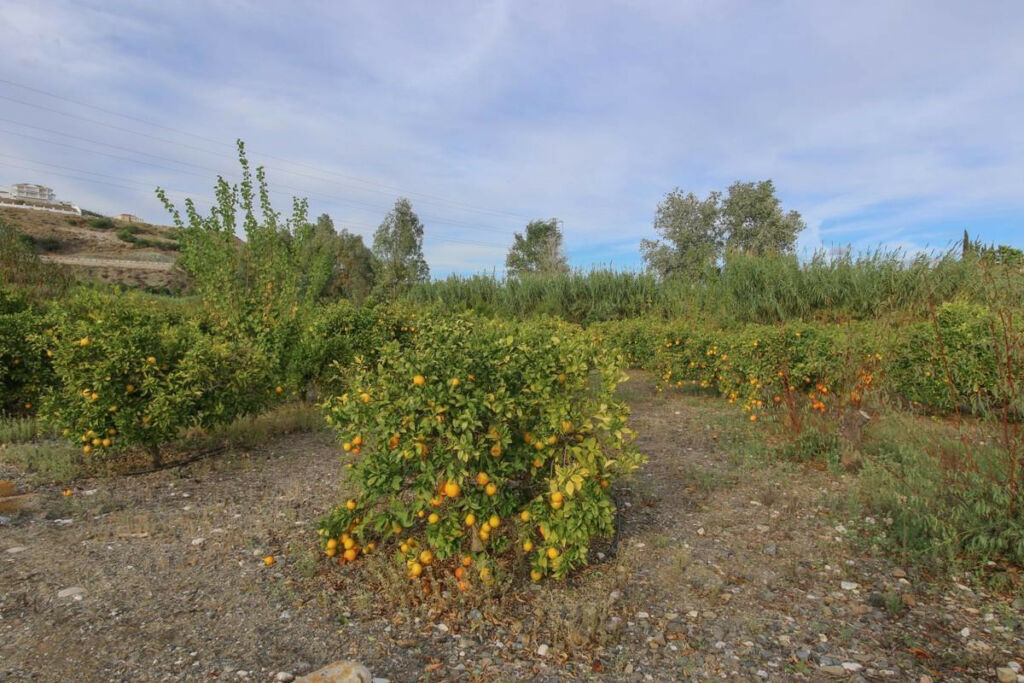 Land Coín Málaga - image 33
