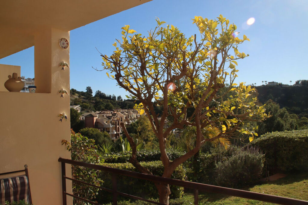 Ground Floor Apartment Los Arqueros Málaga - image 37