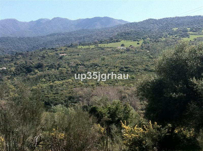 Land Casares Málaga - image 4