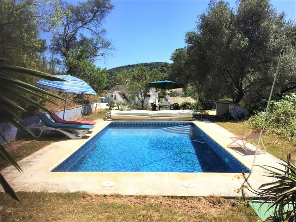 Finca - Cortijo Casares Málaga - image 4