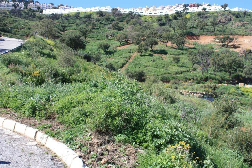 Residential Plot La Mairena Málaga - image 7