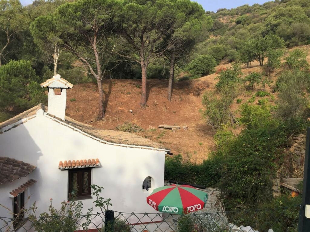 Finca - Cortijo Casares Málaga - image 5