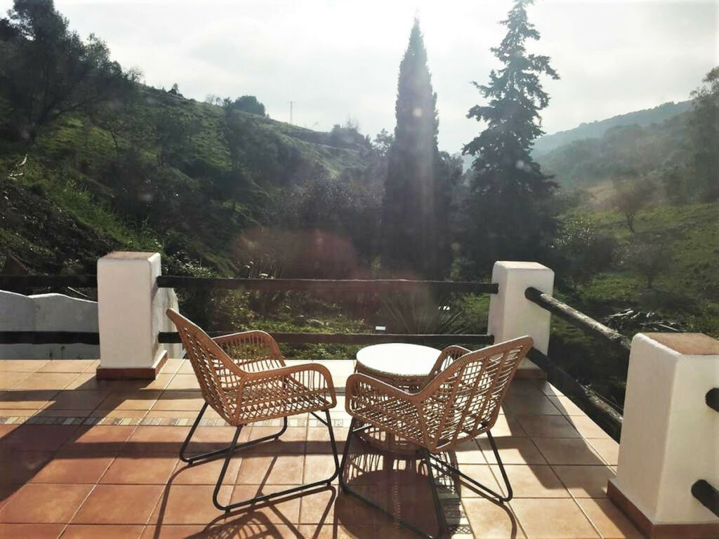 Finca - Cortijo Casares Málaga - image 6