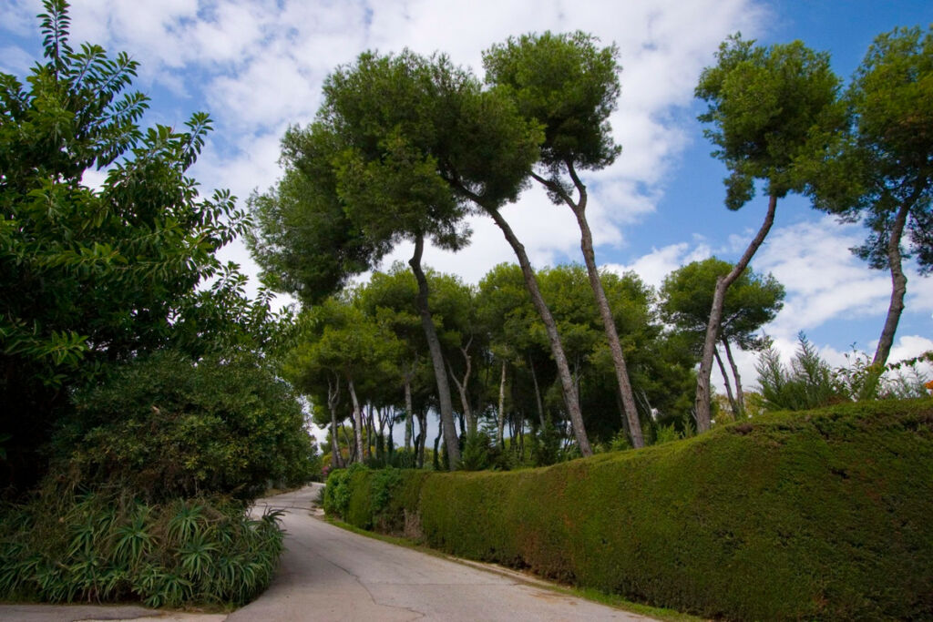 Residential Plot La Mairena Málaga - image 10