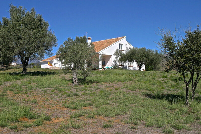 Detached Villa Elviria Málaga - image 9