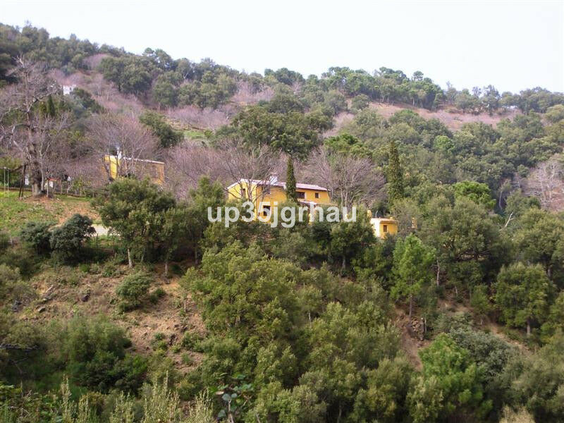 Finca - Cortijo Jubrique Málaga - image 9