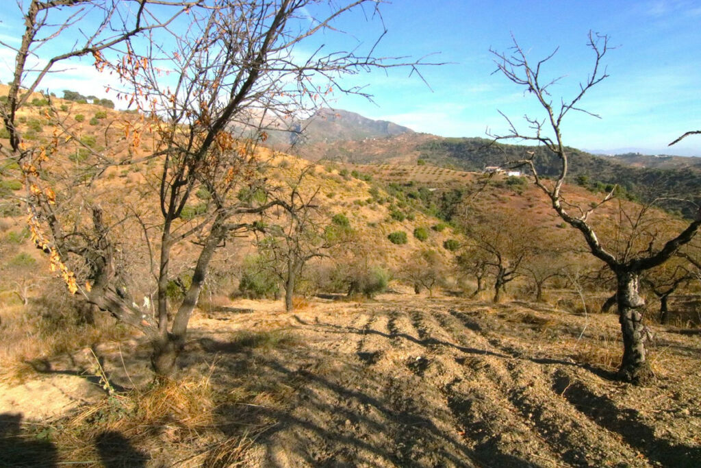 Land Tolox Málaga