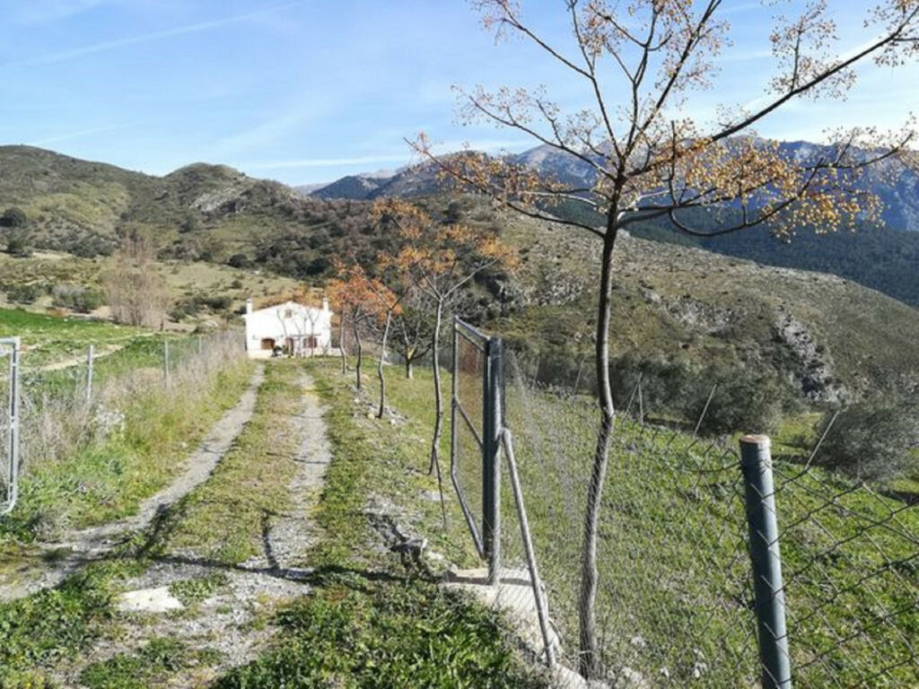 Finca - Cortijo Alcaucín Málaga