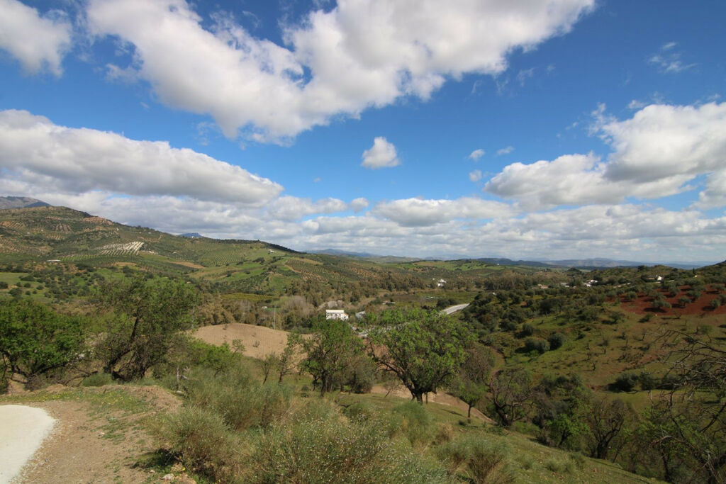 Land Guaro Málaga - image 33
