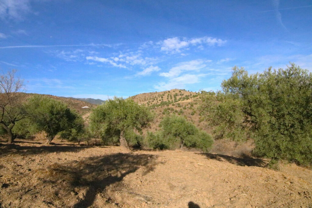 Land Tolox Málaga - image 13