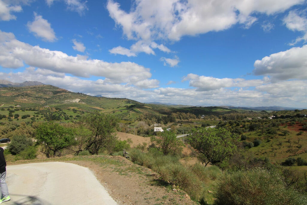 Land Guaro Málaga - image 16