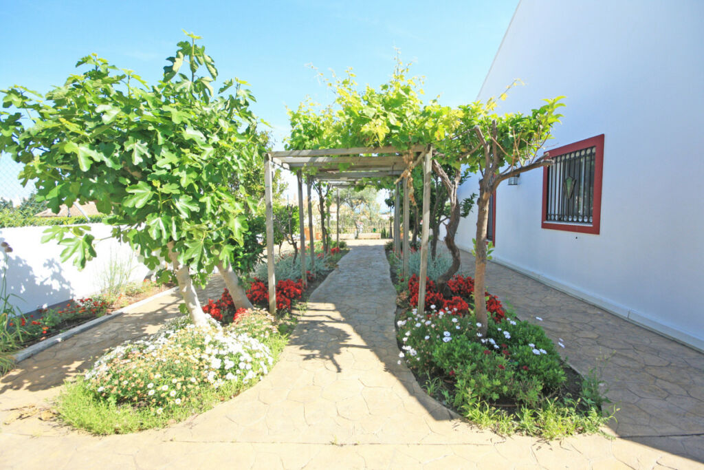 Detached Villa Calahonda Málaga - image 25