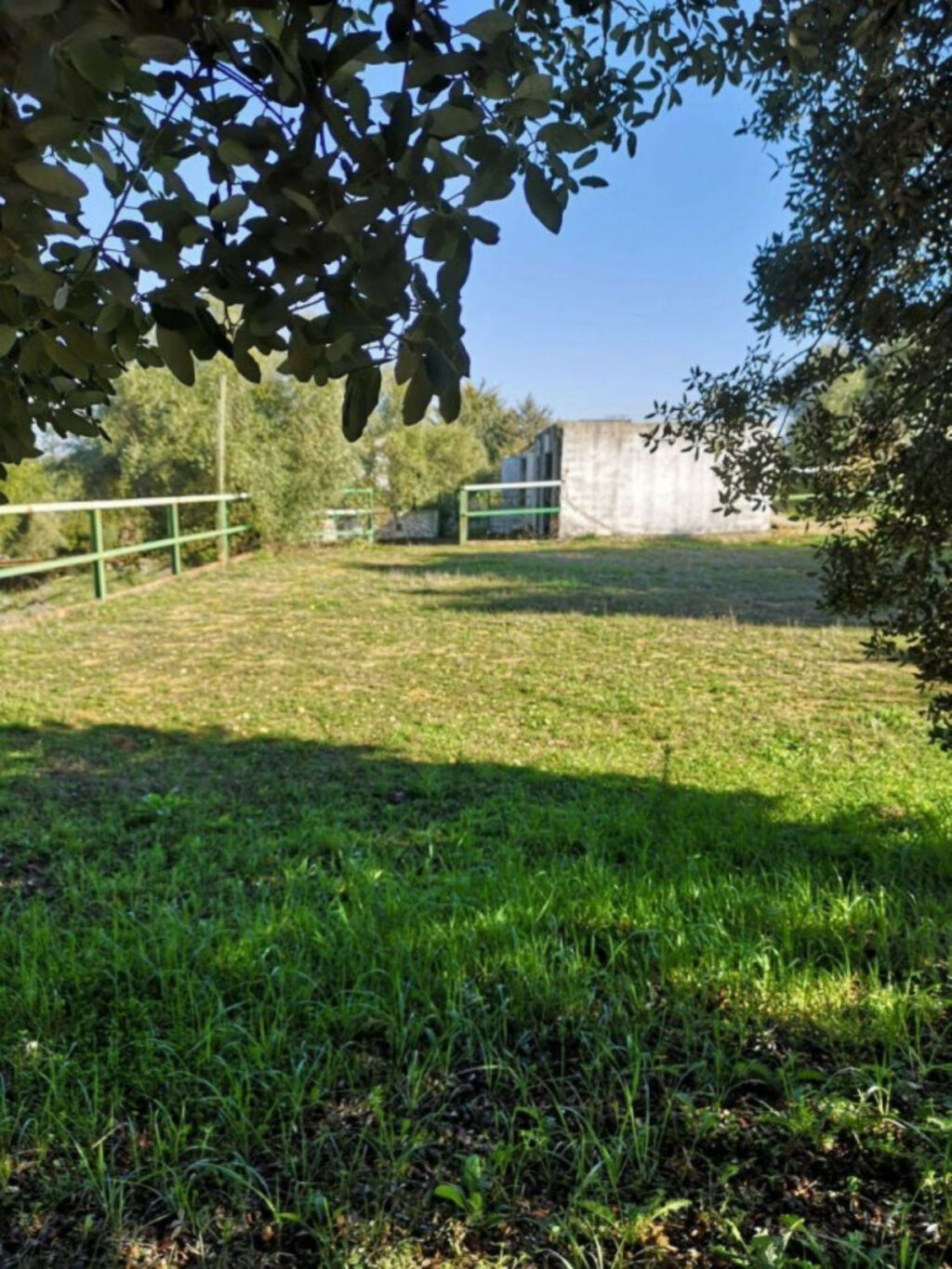 Finca - Cortijo Ronda Málaga - image 16