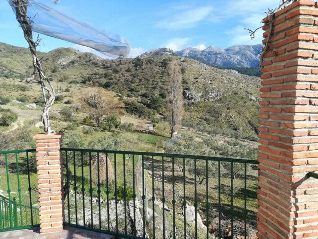 Finca - Cortijo Alcaucín Málaga - image 17
