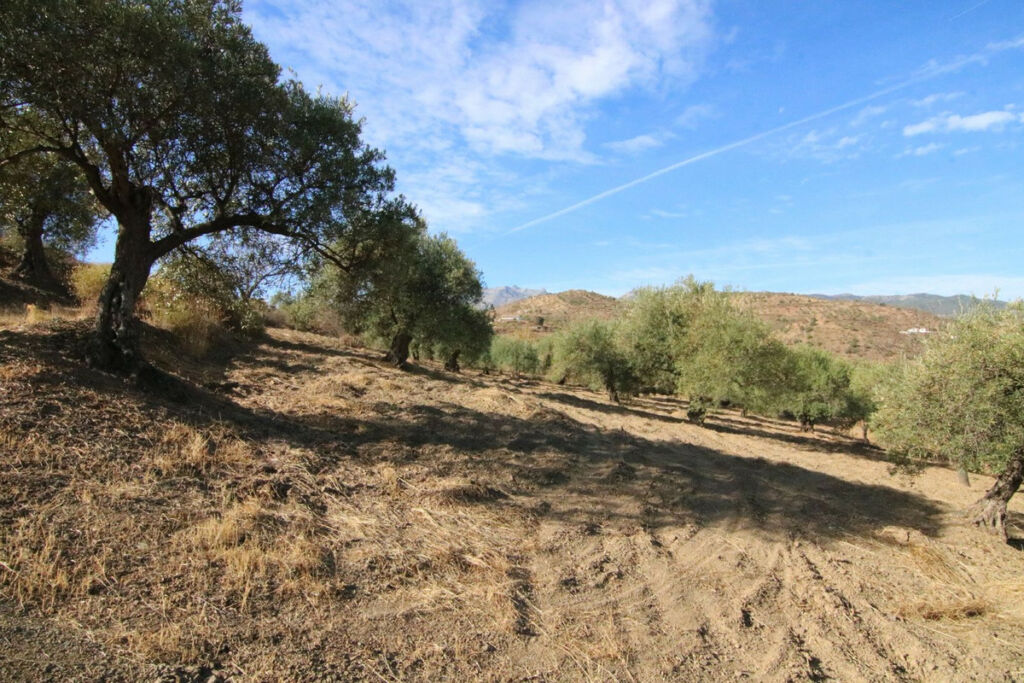 Land Tolox Málaga - image 17