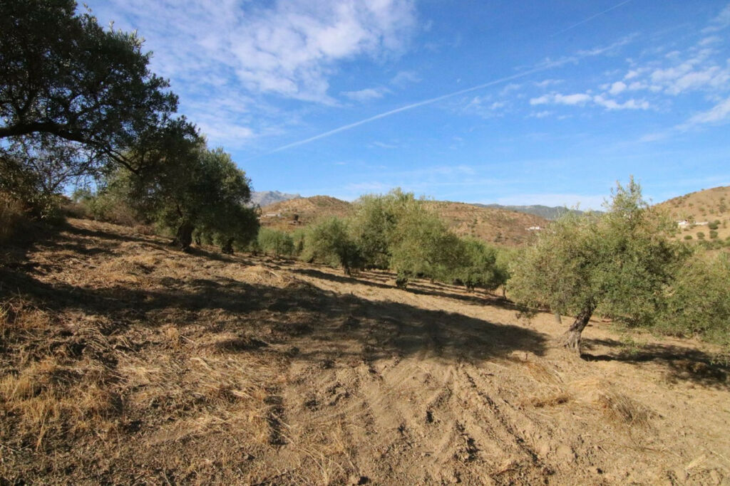 Land Tolox Málaga - image 18