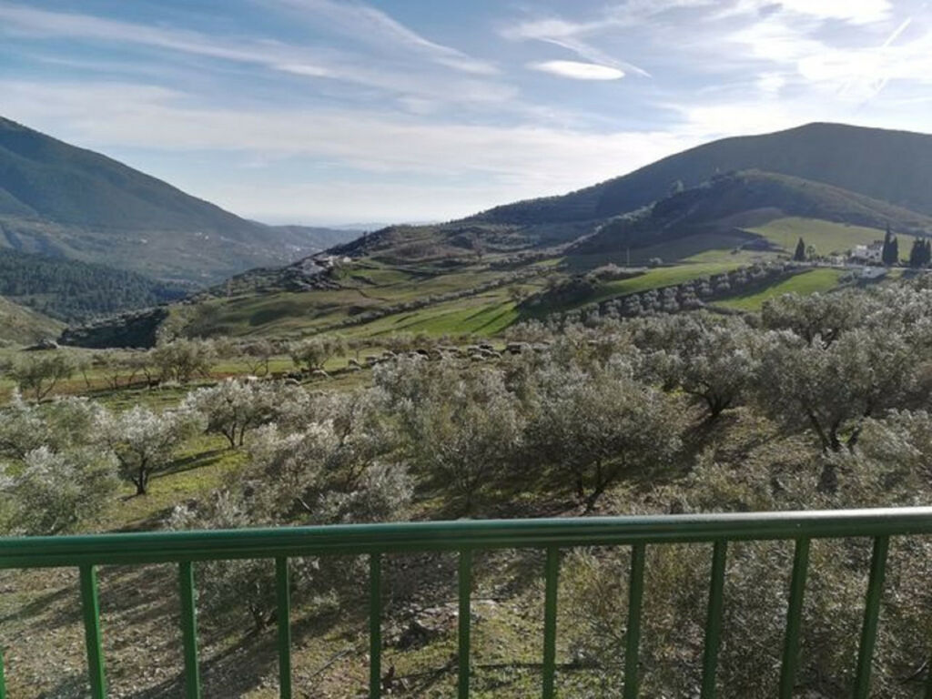 Finca - Cortijo Alcaucín Málaga - image 19