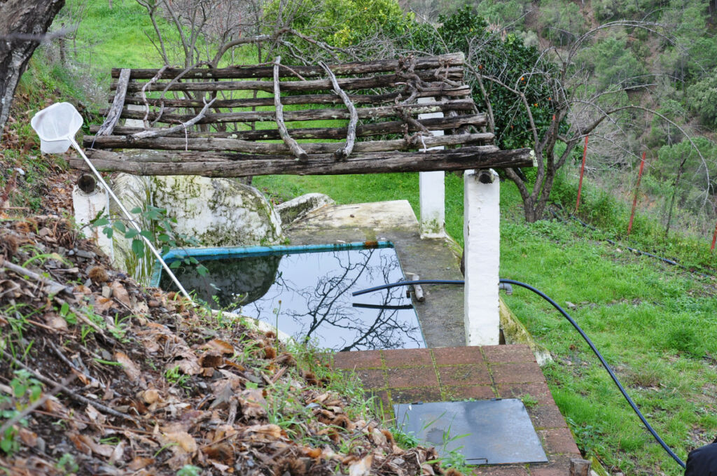 Finca - Cortijo Jubrique Málaga - image 19