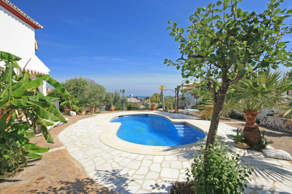 Detached Villa Calahonda Málaga - image 2