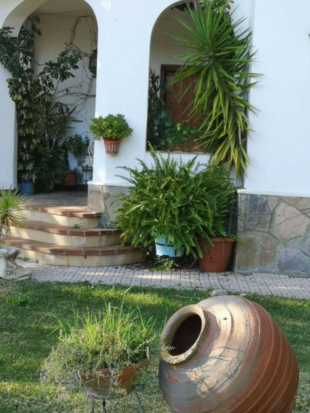 Finca - Cortijo Ronda Málaga - image 21