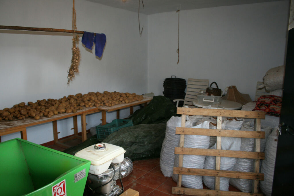 Finca - Cortijo Jubrique Málaga - image 21