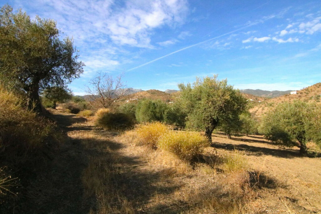 Land Tolox Málaga - image 21
