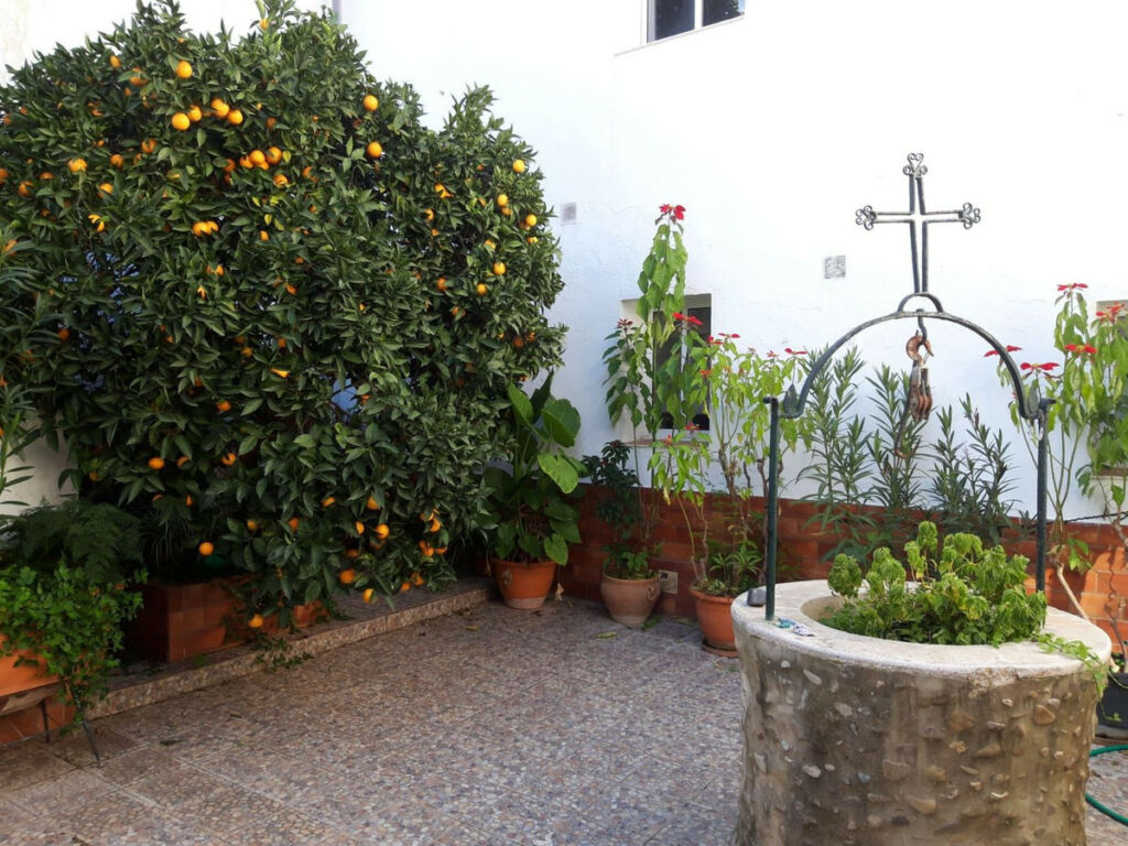 Townhouse Jimena de la Frontera Cádiz - image 20