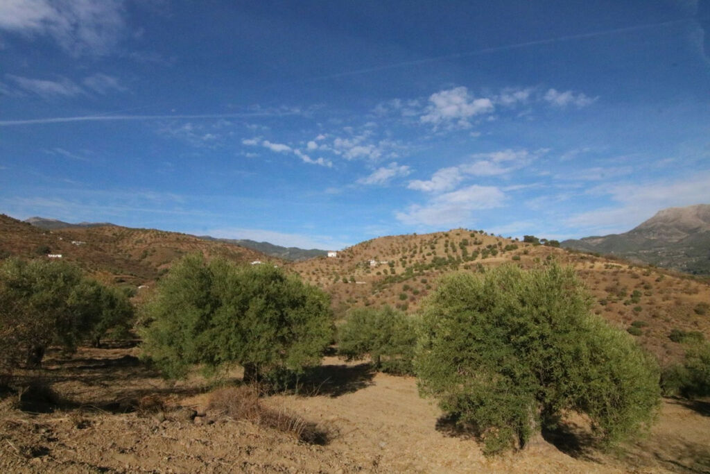 Land Tolox Málaga - image 22