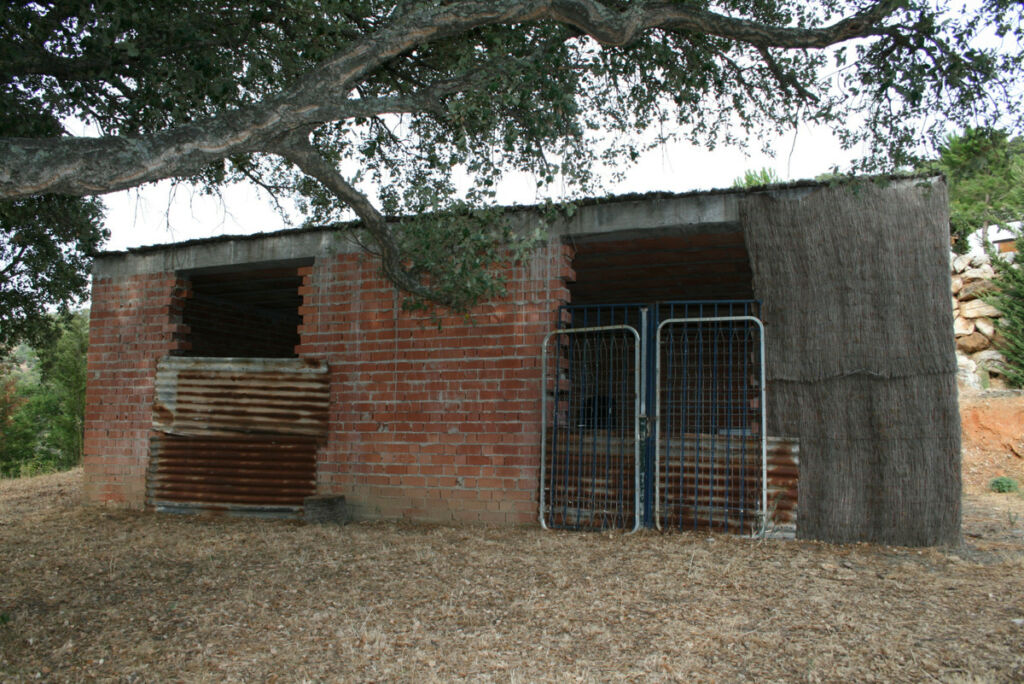 Finca - Cortijo Jubrique Málaga - image 23