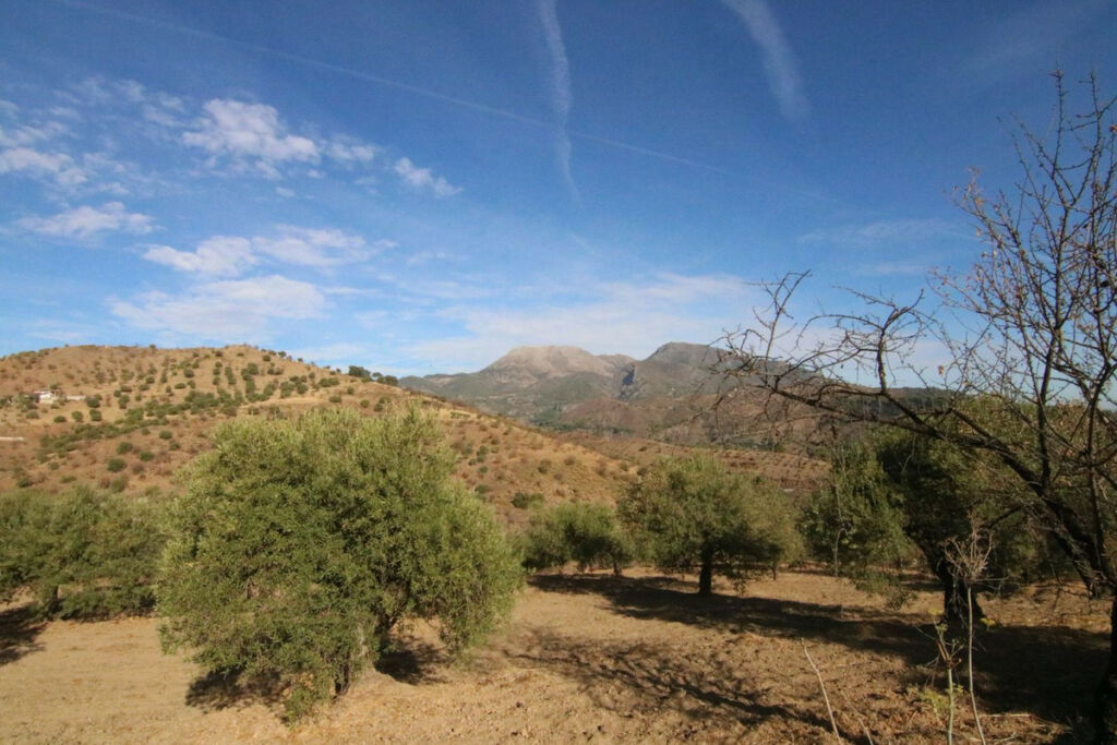 Land Tolox Málaga - image 23