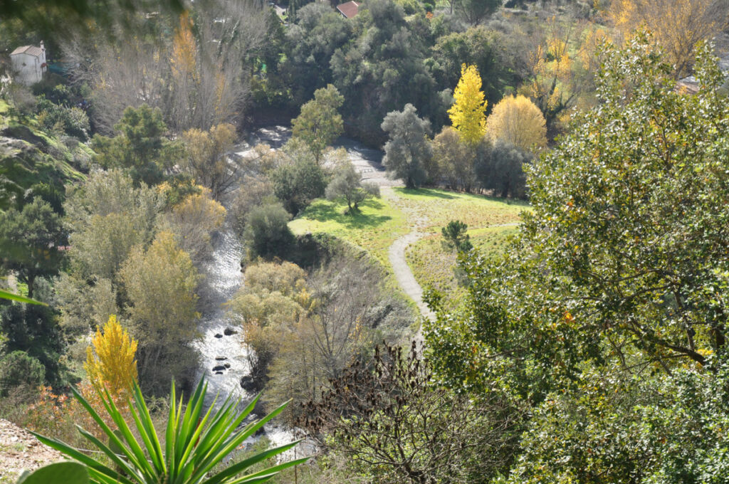 Finca - Cortijo Jubrique Málaga - image 25