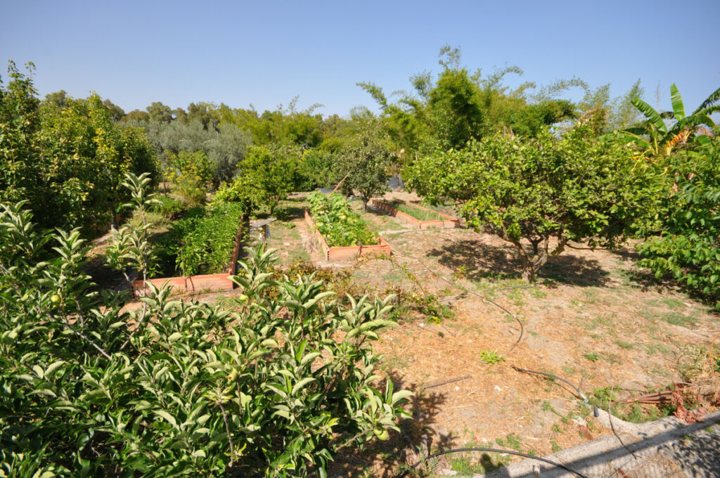 Detached Villa Casares Playa Málaga - image 28