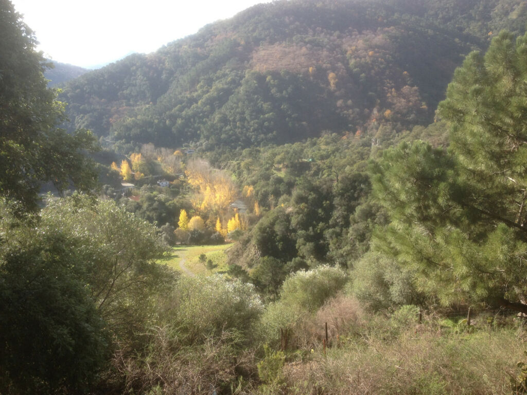 Finca - Cortijo Jubrique Málaga - image 28