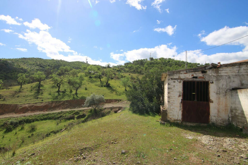 Land Guaro Málaga - image 10